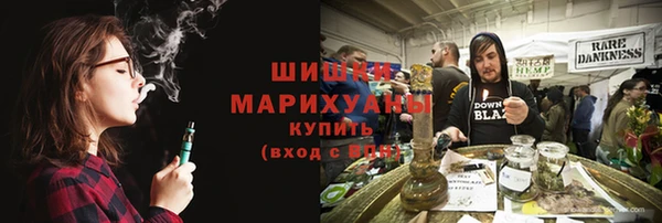 дживик Бронницы
