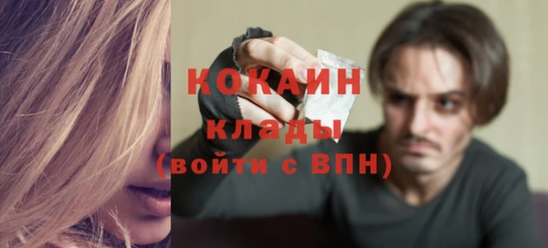 дживик Бронницы