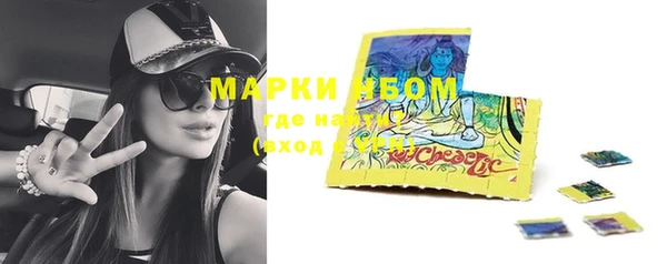 дживик Бронницы