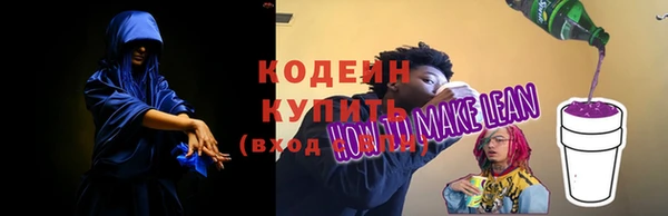 дживик Бронницы