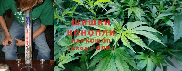дживик Бронницы