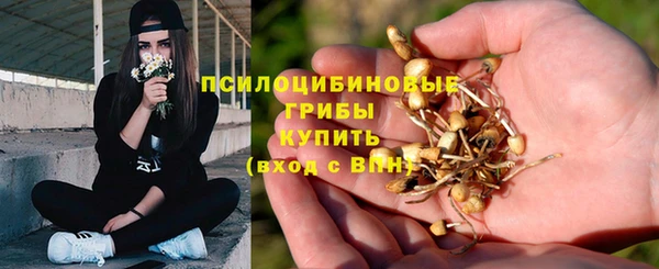 дживик Бронницы