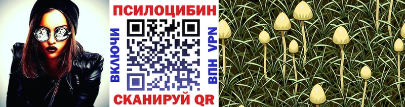 Галлюциногенные грибы Magic Shrooms  OMG ССЫЛКА  Нижневартовск 